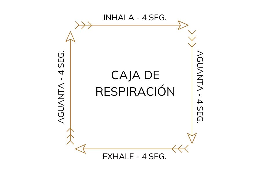 La caja de respiración ayuda a respirar al hablar en publico